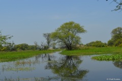 bharatpur_cpy-5