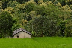 Chakrata