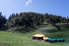 chopta-186