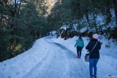 chopta-191