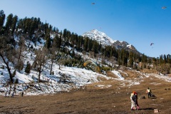 manali_2021-29