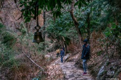 ranikhet-41