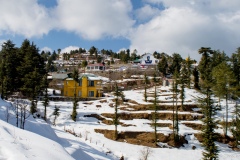 shimla-22