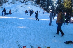 shimla-6