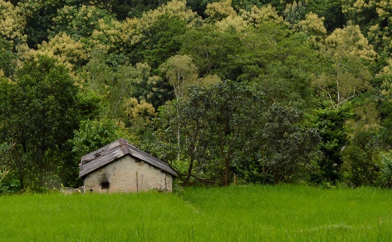 Chakrata