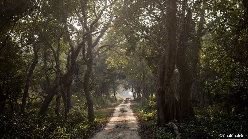 Dudhwa National Park